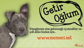 Kopeklerin Ihtiyaci Olabilecek Butun Urunler Mamaci Net De Kopeginiz Icin En Uygun Urunlere Gozatin Http Www Mamaci Net Kopek Xhtml Kopek Urunler Egitim