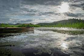 It is one of the picturesque wetlands in india. World Environment Day Four Indian Wetlands Protected Under Ramsar Convention Times Of India Travel