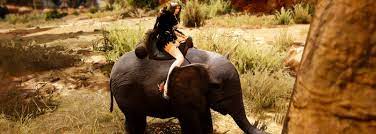 Black Desert Miniature Elephant Mount Guide Mmo Guides Walkthroughs And News