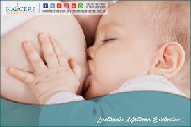 Fomento de la lactancia materna, formación, hospital san juan de la cruz, lactancia materna, matrona ¿cómo aumentar mis méritos para oposiciones? Lactancia Materna Exclusiva Nascere Maternidad Y Crianza
