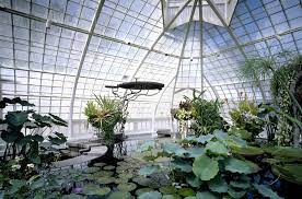 Hours may change under current circumstances Conservatory Of Flowers Architectural Restoration And Rehabilitation