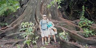 Corcovado national park is 42,560 hectares (105,168 acres) of jungle, and it holds a lot of biodiversity and animals. Hiking Corcovado National Park