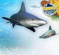 Maybe you would like to learn more about one of these? Newport Aquarium Newport Aquarium
