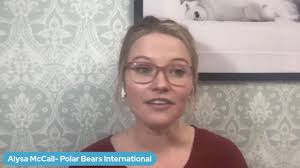 Polar Bears with Alysa McCall