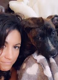 Found dogs near university and menaul in Albuquerque