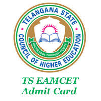 However note that in this window, candidates can edit fields except stream, qualifying exam hall ticket no., candidate's name. Ts Eamcet 2021 Hall Ticket Download Ts Eamcet Admit Card Exam Date