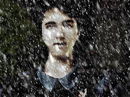 Cairns Show Billboard Competition Winners