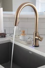 Black And Gold Kitchen Faucet The Kitchen Bling Gold Faucet Southern Hospitality Gold Faucet Gold Kitchen Faucet Kitchen Faucet