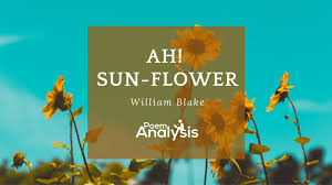 Check spelling or type a new query. Ah Sun Flower By William Blake Poem Analysis
