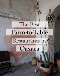 Where To Get Organic And Farm To Table Food In Oaxaca Oaxaca Mexico Travel Oaxaca Explore Mexico