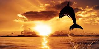 Luego pulse el botón leer para iniciar la lectura; Top Programe De Editat Poze Modificat Fotografii Gratuite Giz Ro