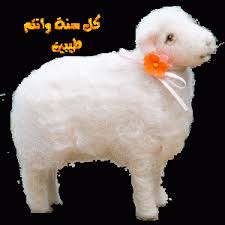 Maybe you would like to learn more about one of these? Ø§Ø¬Ù…Ù„ Ø§Ù„ØµÙˆØ± Ø§Ù„Ù…Ø¶Ø­ÙƒØ© Ù„Ø¹ÙŠØ¯ Ø§Ù„Ø§Ø¶Ø­Ù‰