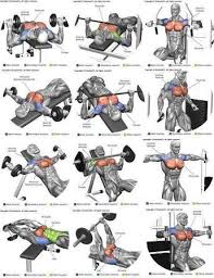 Pin By Erol On אימוני כושר Chest Workouts Chest Workout Best Chest Workout