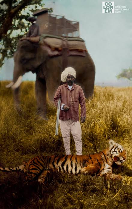 Tiger Hunting in India, ca. 1920s | Colorem