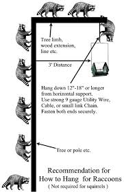 Bird Feeder Protection From Squirrels How To Hang A Raccoon Proof Bird Feeder This Is Also Squirrel Proof Bird Feeder Plans Squirrel Proof Bird Feeders Hanging Deer Feeder