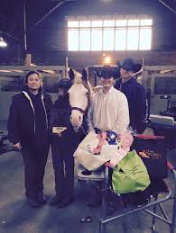 Profile for Hedges Reining Horses