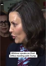 Lisa Ann Whitmer Wagman Town Hall