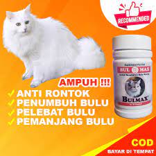 We did not find results for: Bm19 Vitamin Bulu Kucing Bulmax Penumbuh Bulu Kucing Dan Bulu Rontok Kucing Agar Bulu Kucing Lebat Shopee Indonesia