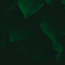 صور خلفيات روعه خلفيات جميلة للفوتوشوب 21 stock photos photo free stock photos