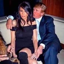 lefevre @tetedenoisette - Twitter Profile | Sotwe