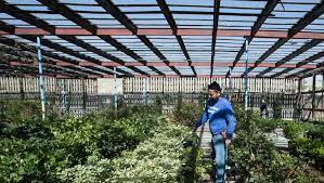 Euromonitor international is the leading provider of strategic market research if you purchase a report that is updated in the next 60 days, we will send you the new edition and data extract free! Gardening In New Mexico Is Different From The East Coast