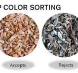 Optical Seafood Color Sorter Machine Manufacturers
