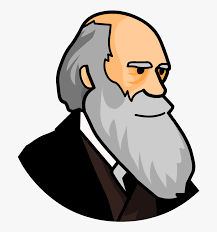 We did not find results for: Evolution Real Clipart Png Download Darwin Charles Robert Cartoon Transparent Png Kindpng