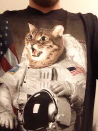 Cat O Rama Funny Pictures Funny Memes Funny