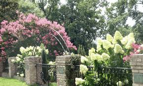 Best value flowers & gifts. Romantic Things To Do In Augusta Ga 50 Date Ideas