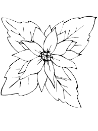 Poinsetta coloring pages creative images. A Red Poinsettia Coloring Page Free Printable Coloring Pages For Kids