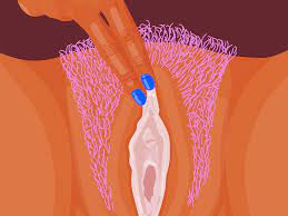 Stimulation der klitoris