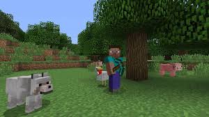 Scattered around the maps were tappables. Youtuber Builds 1 1 Scale Version Of The Earth In Minecraft
