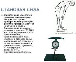 Динамометр берут в руку циферблатом внутрь. Dinamometriya Kisti Stanovaya Norma U Vzroslyh Zhenshin Muzhchin