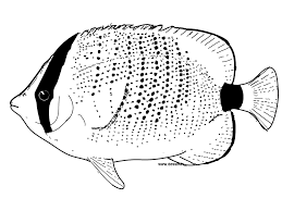 fish coloring pages ile ilgili görsel sonucu