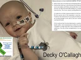 Fundraiser by Sean O Callaghan : Running for Decky, Helping Fight Liver  Failure