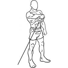 To execute, slowly raise the dumbbells up to around shoulder height. Cable Front Raises Gymwolf