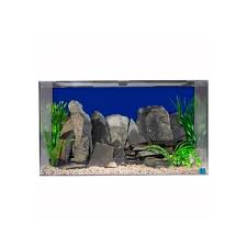Shop the latest fish tanks and aquariums at petsmart to find interesting ways showcase your favorite fish. Best Fish Tanks In 2020 Seaclear Marineland Fluval And More Business Insider