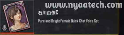 Active Sav Japanese Voice Chat For Pubg Mobile