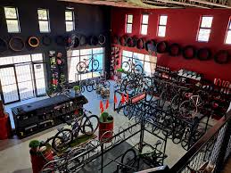 Profile for Downhill Fanatics