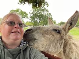 There's a donkey ranch in Atascadero, California, and the gray donkey. His  name is Diego.