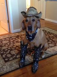 We did not find results for: I Wanna Be A Cowboy Baby Sassy Animals Baby Cowboy Yellow Lab