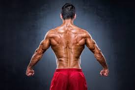 Many of the times it happens that we don't know the names of gym exercises. Strong Back Workout To Build A Muscular Frame