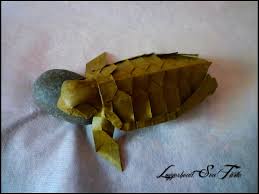 Maybe you would like to learn more about one of these? A Shellebration Of Turtley Amazing Origami Turtles And Tortoises