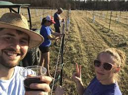 In Stover, Missouri, Family-Owned Dale Hollow Winery Makes Wine with Local  Character