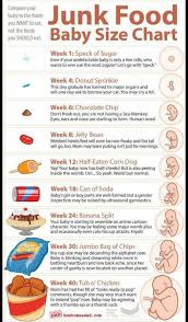 12 most popular pregnancy food size chart