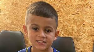 Van driver admits fleeing the scene of a fatal collision where  seven-year-old boy playing football died of severe head injuries