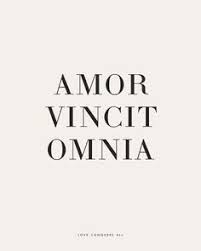 Amor Vincit Omnia Besotted Latin Love Quotes Latin Quotes Phrase Tattoos