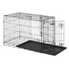 You'll know if your dog fears the crate because they'll look incredibly scared: Retriever 2 Door Dog Wire Crate 24dd At Tractor Supply Co