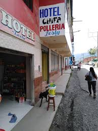 Chifa Polleria Lesly