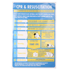 Us 5 66 30 Off 600mmx400mm Cpr Resuscitation Chart Swimming Pool Spa Safety Sign Stickers Self Adhesive For Security Wallpaper In Wall Stickers From